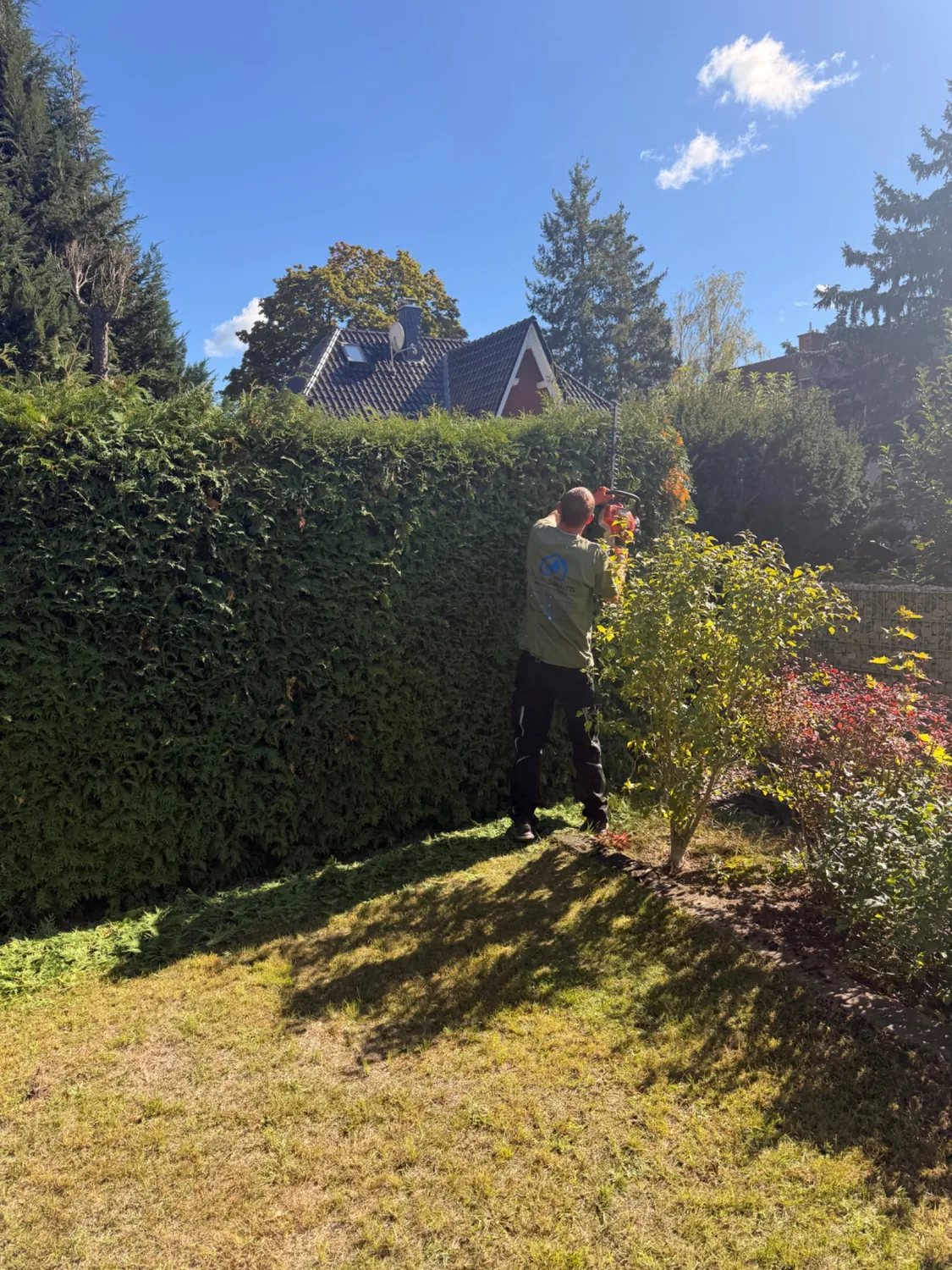 Eigene Aufnahme: Pflege einer Hecke im Garten